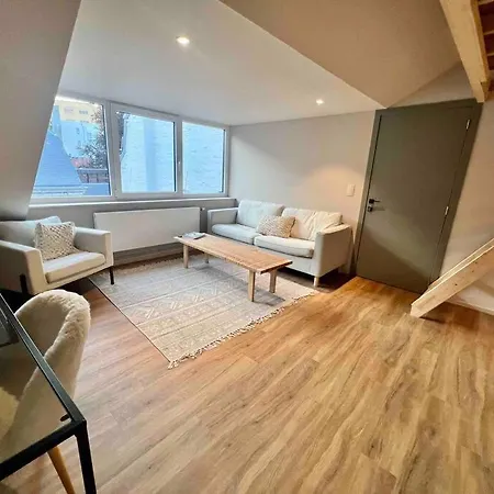 Maison Avec 4 & Rooftop En Plein Centre - Place Saint Paul *