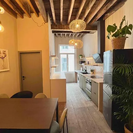 Maison Avec 4 & Rooftop En Plein Centre - Place Saint Paul Hébergement de vacances *