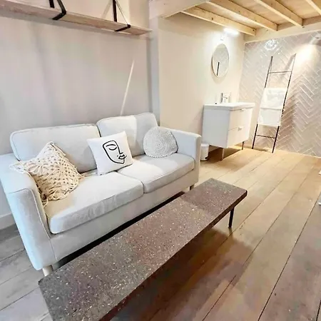 Maison Avec 4 & Rooftop En Plein Centre - Place Saint Paul *