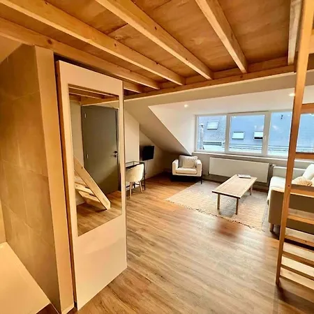 Maison Avec 4 & Rooftop En Plein Centre - Place Saint Paul