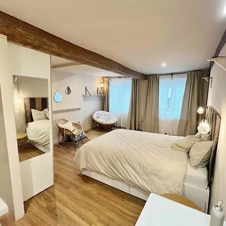 Maison Avec 4 & Rooftop En Plein Centre - Place Saint Paul Liege