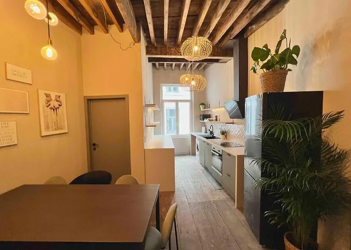 Maison Avec 4 Suites&rooftop En Plein Centre - Place Saint Paul Hébergement de vacances *