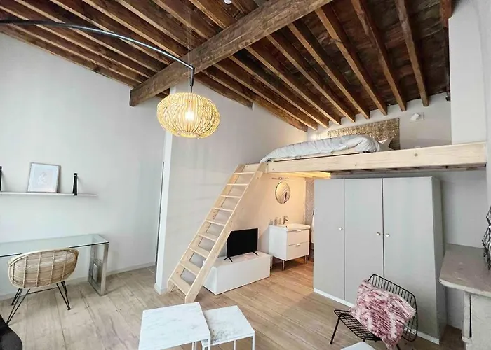 Maison Avec 4 Suites&rooftop En Plein Centre - Place Saint Paul Hébergement de vacances