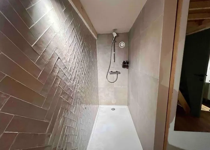 Hébergement de vacances Maison Avec 4 Suites&rooftop En Plein Centre - Place Saint Paul