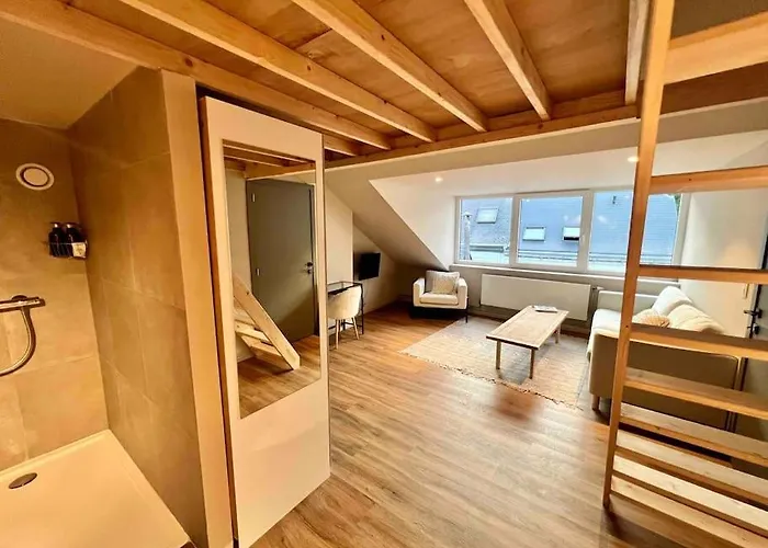 Maison Avec 4 Suites&rooftop En Plein Centre - Place Saint Paul