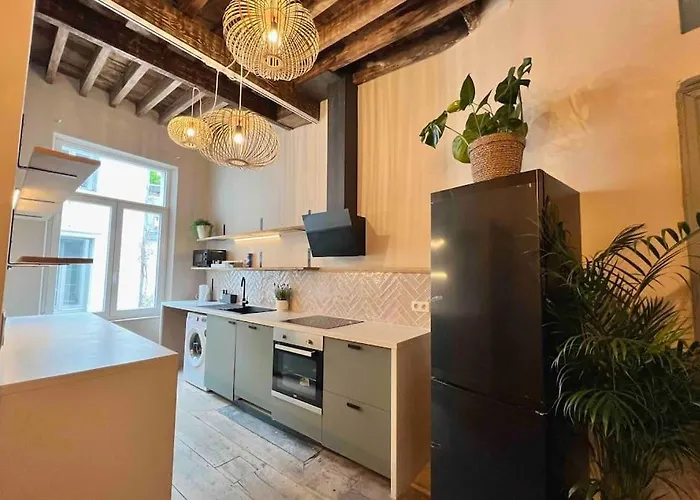 Maison Avec 4 Suites&rooftop En Plein Centre - Place Saint Paul