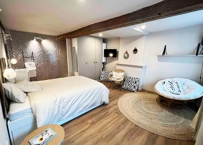 Maison Avec 4 Suites&rooftop En Plein Centre - Place Saint Paul